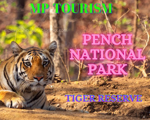 पेंच नेशनल पार्क | Pench National Park | Pench Tiger Reserve