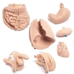 https://mylaserstore.com/collections/medical-simulators