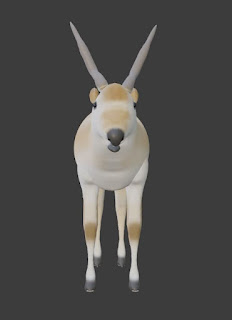 Antelope deer rigged free 3d models