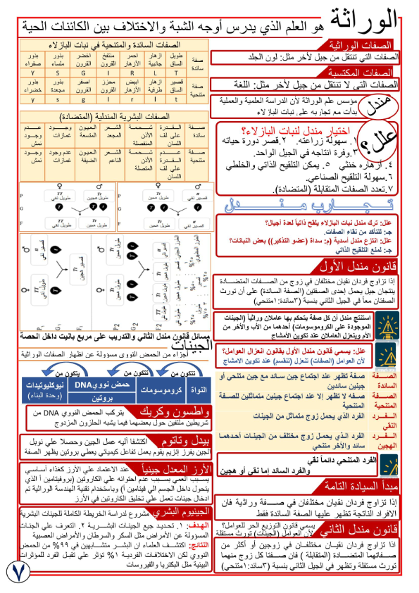 أقوى مراجعات العلوم للصف الثالث الاعدادي الترم الثاني AVvXsEi7AKVHMywrMtu6MHVsrOOg8eYcEWnrF8ZAP1VGPYQEGNi5tz4biPxm_tWjemwaSfq_kkZuIpoDn3uNXzkLLvSTsUII_bqSUv3cz_mEQ1HJAi4FAslfDC4VGrBJKlTXMTTi3KPGsai7g6-ku9QRsX72WIlTLyODKY6VDU4987NgJEtgmZGyKejisxpMUQ=s16000