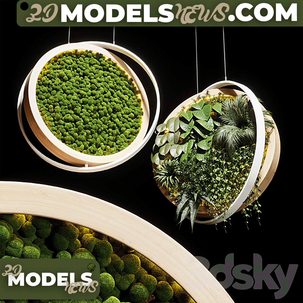 Hanging garden and hanging moss in wooden frame model 218 1