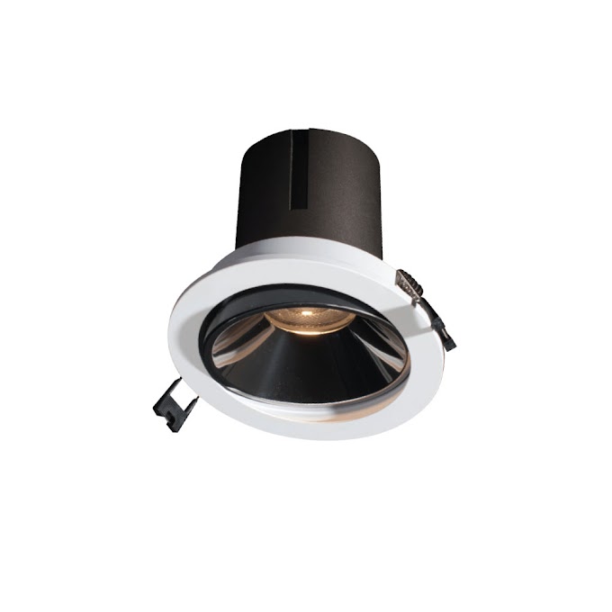 Đèn Downlight chiếu điểm Roman PLD101