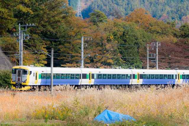 臨時列車　直通特急富士回遊（FUJI EXCURSION）