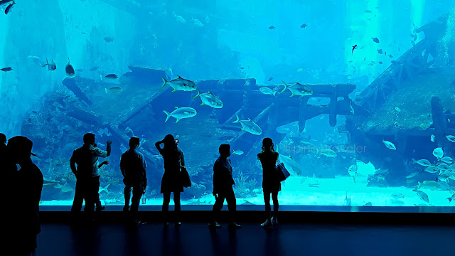 the giant viewing panel at S.E.A Aquarium of Resorts World Sentosa, Singapore