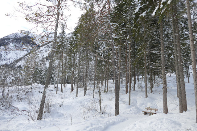 lago di dobbiaco inverno