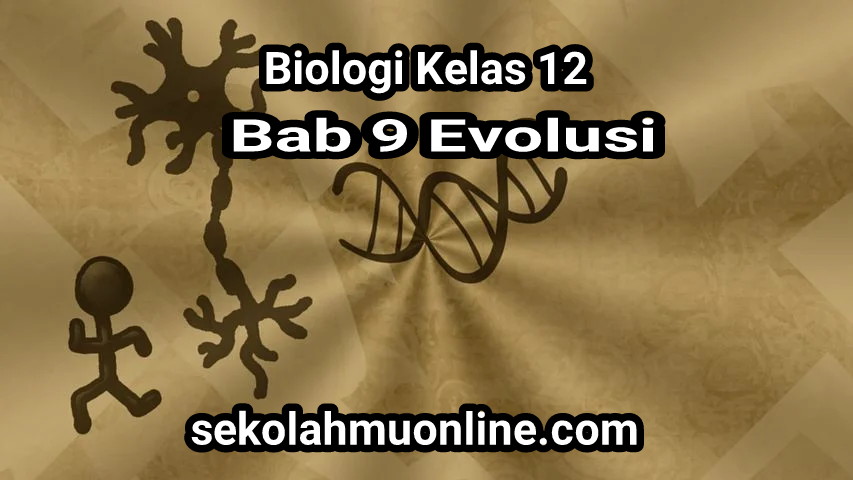 Rangkuman Biologi Kelas XII Bab 9 Evolusi ~ sekolahmuonline.com