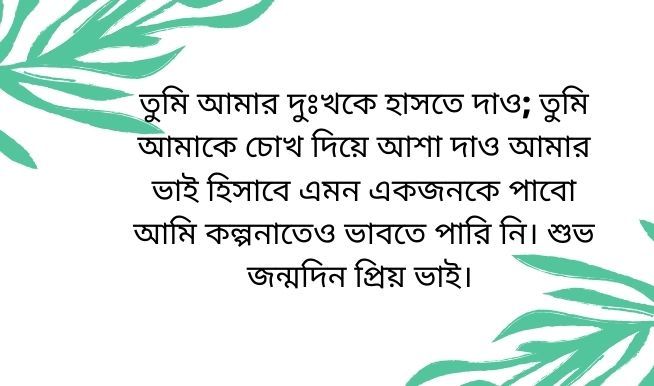 ভাইয়ের জন্মদিনের শুভেচ্ছা sms কালেকশন