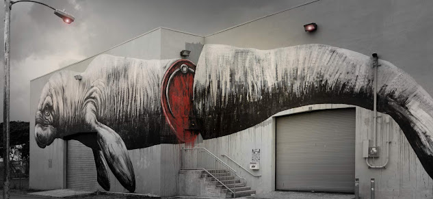 Roa Manatee