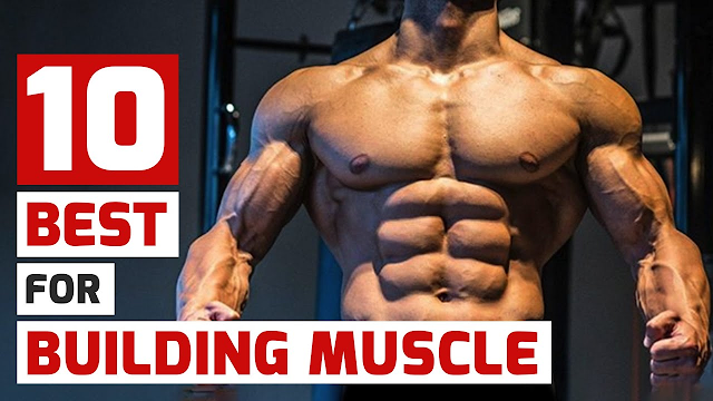 What is the best muscle building exercises?