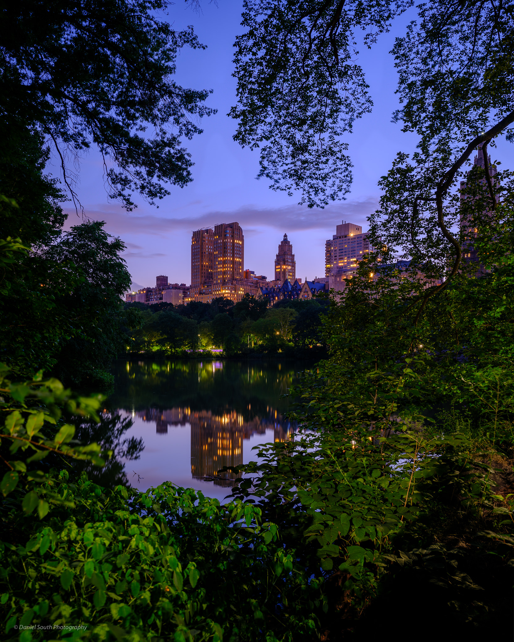 a photo of the new york skyline from central park