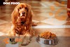 Best pet Food Advisor-2021 Quality dog food or pet food with simple tips and tricks