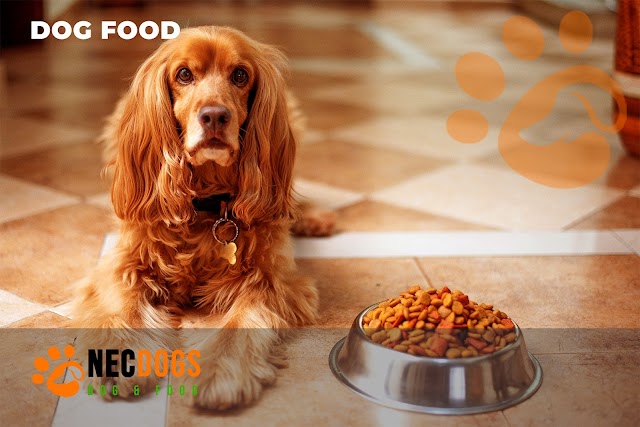 Best pet Food Advisor-2021 Quality dog food or pet food with simple tips and tricks
