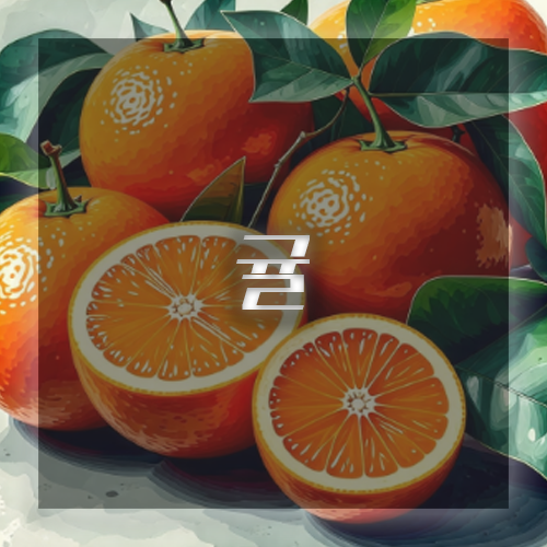면역력 높이는 음식 귤