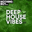 Nothing But... Deep House Vibes (2019-2021)