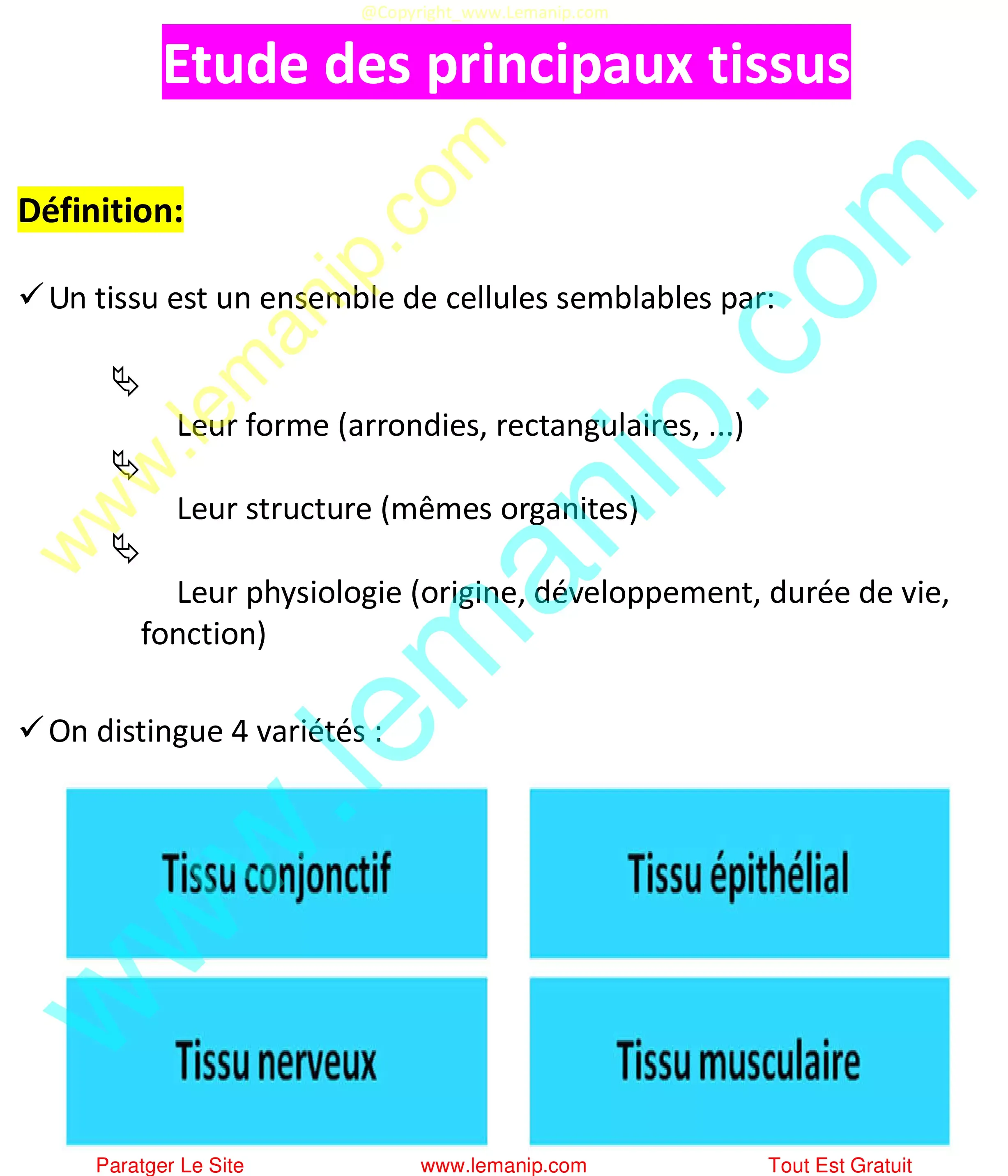 tissus Définition