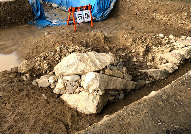 現場担当者のファインプレイで発見された本丸東北の鈍角誂えの石垣（2020年9月26日撮影）
