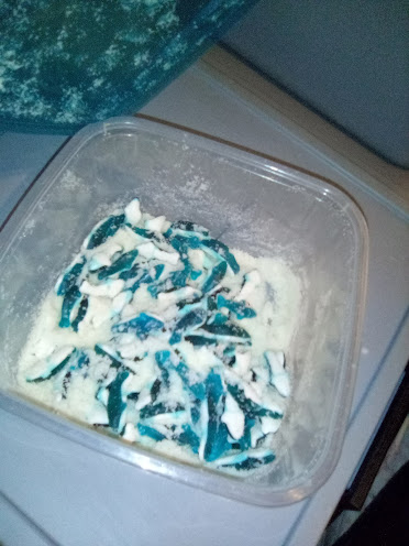 April 20,2023 Little Blue 💙 Baby Sharks Gummies 🍬🍭 with Legal Hemp made by myself #0382 Naomi!