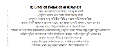 10 Lines on Pollution in Assamese