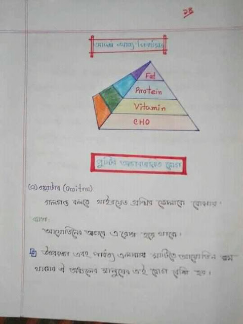 SSC Biology Chapter 5 Hand Note