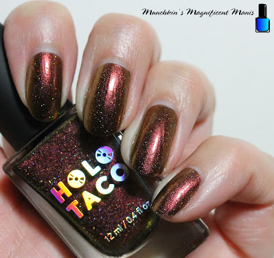 Holo Taco- Tax Haven