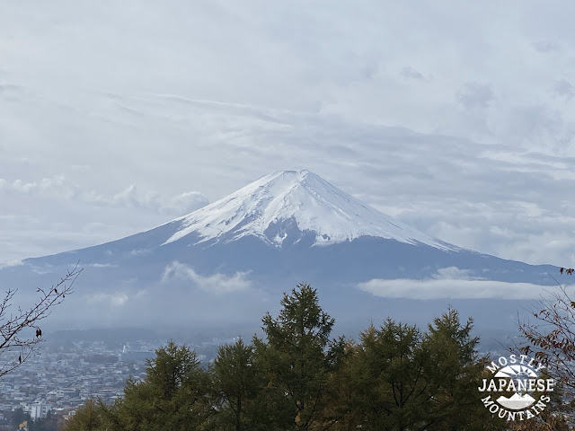 Fuji from Arakurayamasengen Koen (新倉山浅間公園)