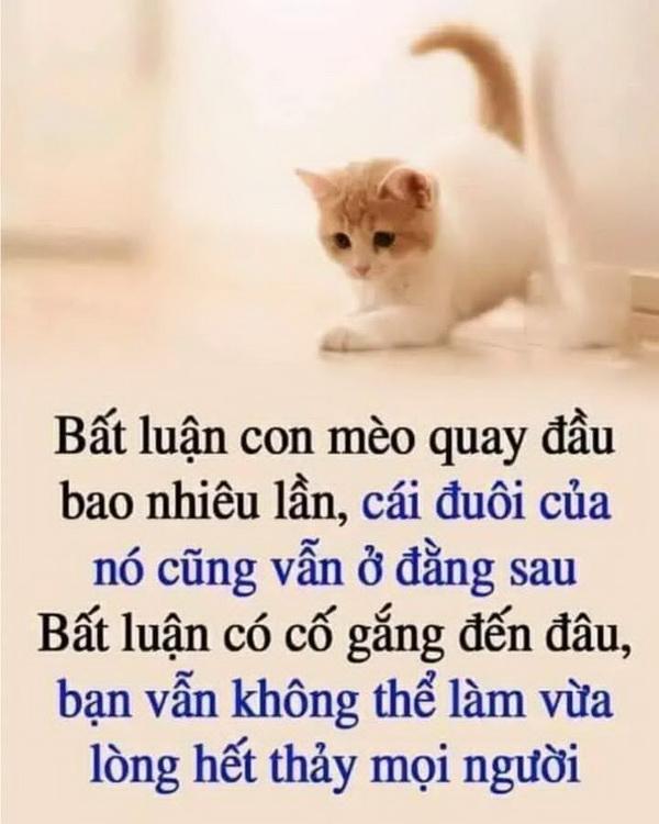 Lời hay ý đẹp