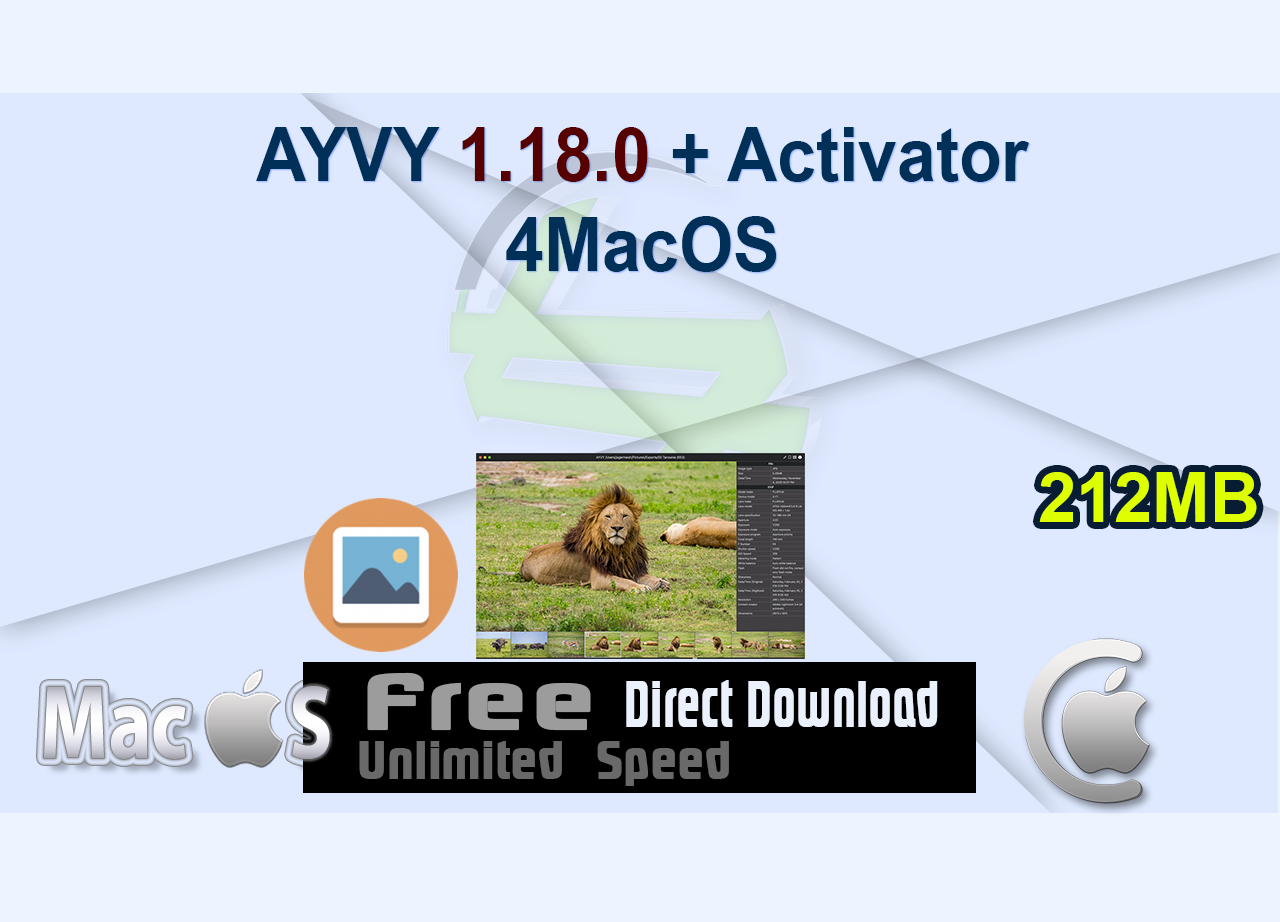 AYVY 1.18.0 + Activator 4MacOS