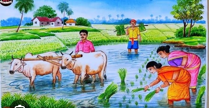 चित्र
