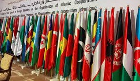 US warmly welcomes OIC role in Afghanistan