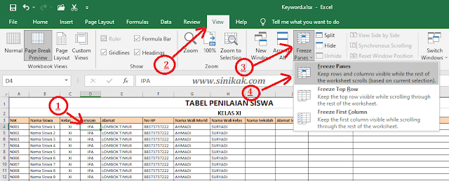 cara freeze 3 kolom dan 3 baris di excel