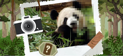 Pixelated Animals Quiz Answers Video