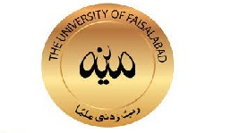 University of Faisalabad TUF Jobs 2022