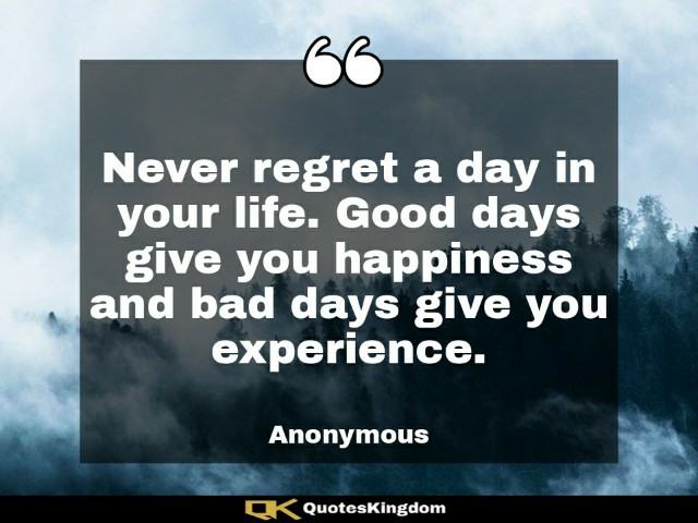 Motivational quote of the day. Never regret a day in your life. Good days give you happiness ...