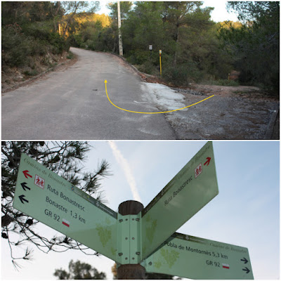 BONASTRE-LA MOLA-BOSC DE L'OBAGA DEL MAIÀ-MUNTANYES DEL TET-MASIA D'ESCANSA, carrer Puig-Roig a l'urbanitzacio de la Font de la Gavatxa