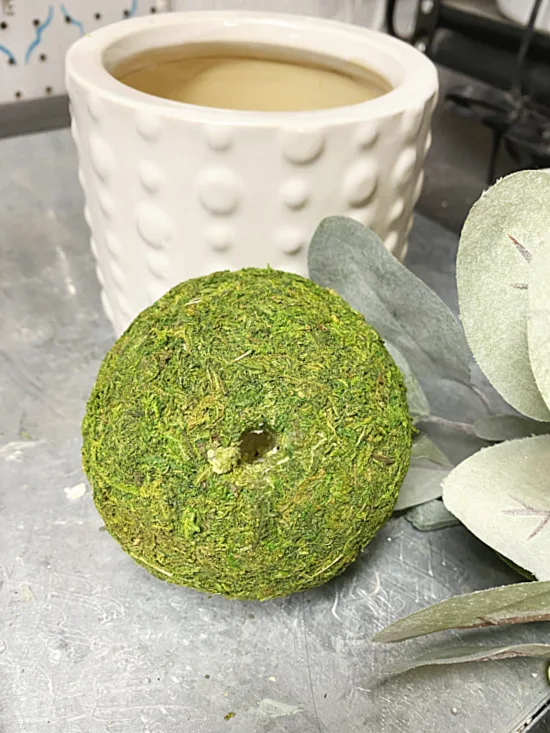 pot and moss ball