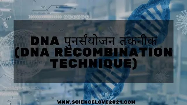 DNA पुनर्संयोजन तकनीक (DNA Recombination Technique)|hindi
