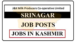 JOBS,Jobs in Kashmir,Jobs in srinagar, J&K Milk Producers Co-operative Limited Srinagar Jobs Recruitment 2022, Milk Jobs In Kashmir