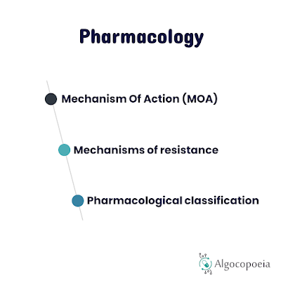 penicillins pharmacology