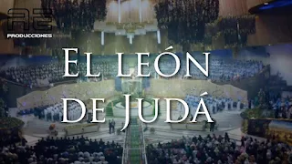 el leon de la tribu de juda