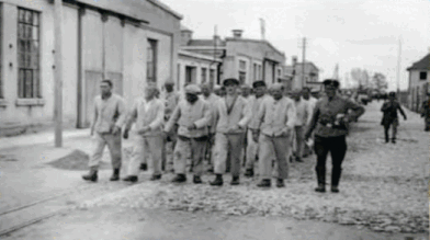 Dachau Deutsche Wirtschaftsbetriebe