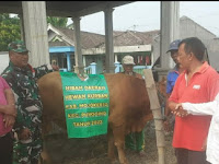 WARGA Dusun DAKON Desa WATUKENONGO Dapat Hibah Hewan Korban 1 Ekor SAPI Dari PEMKAB Mojokerto  