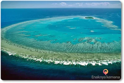 great barrier reef