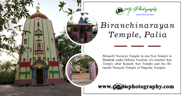 Biranchinarayan Temple, Palia - Another Sun Temple in Bharak