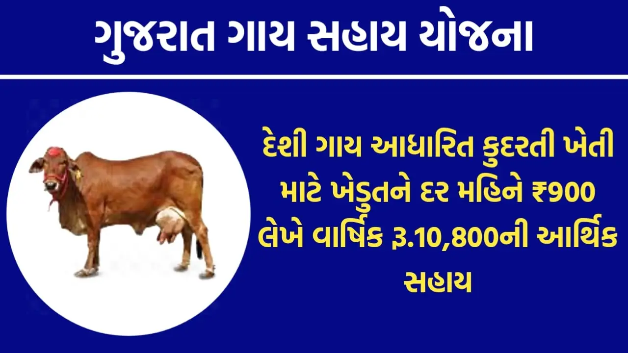 Ikhedut Portal Gujarat: Cow Sahay Per Month RS 900