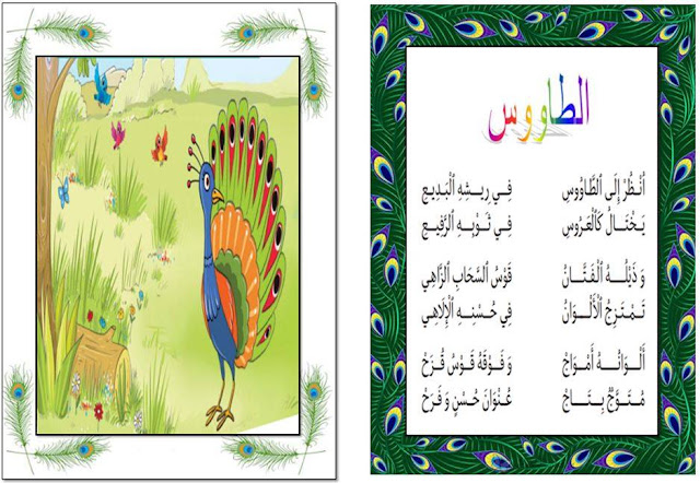 محفوظات الطاووس السنة الأولى ، انظر إلى الطاؤوس  في ريشه البديع