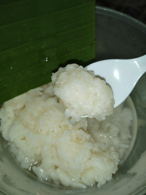 Tapai pulut