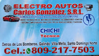 Electro Autos Carlos Gonzalez SRL