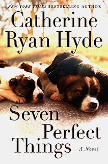 seven_perfect_things_by_catherine_ryan_hyde