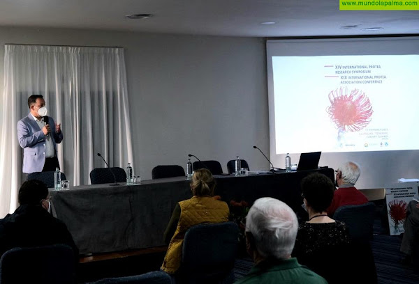 La Palma se convierte en capital mundial de las proteas con la celebración del Simposio Internacional del sector