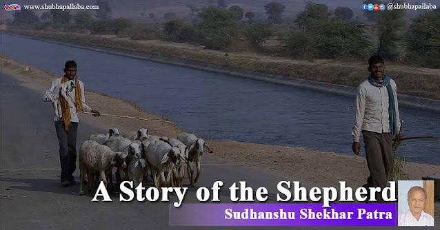 A Story of the Shepherd